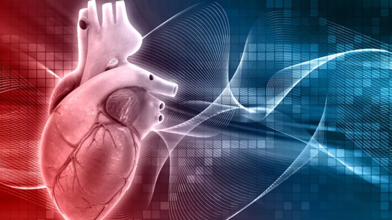 ചിപ്പ് ഉച്ചകോടി: കേരളത്തിൽ ആദ്യമായി ലേസർ ആൻജിയോപ്ലാസ്റ്റി ചിപ്പ് ഉച്ചകോടി: കേരളത്തിൽ ആദ്യമായി ലേസർ ആൻജിയോപ്ലാസ്റ്റി