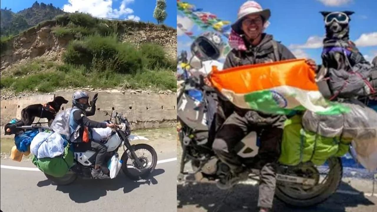 ಮಾಲೀಕನೊಂದಿಗೆ ಶ್ವಾನದ ಲಡಾಖ್ ಟ್ರಿಪ್... ವಿಡಿಯೋ ವೈರಲ್