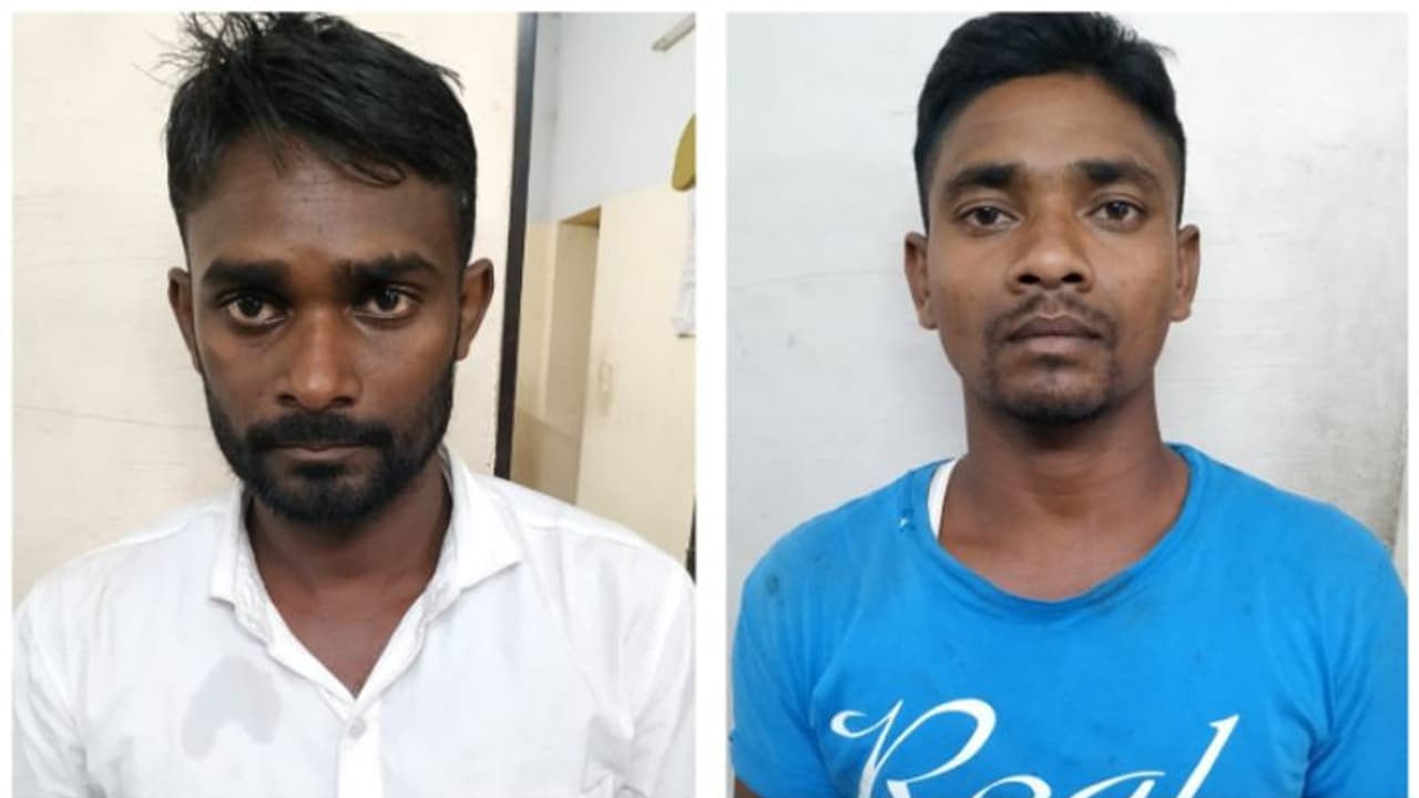 കഞ്ചാവ് കൃഷിയും വിൽപനയും; മാഫിയ തലവന്മാരെ ഒറീസ വനാന്തരത്തില് നിന്ന് സാഹസികമായി പിടികൂടി പൊലീസ് കഞ്ചാവ് കൃഷിയും വിൽപനയും; മാഫിയ തലവന്മാരെ ഒറീസ വനാന്തരത്തില് നിന്ന് സാഹസികമായി പിടികൂടി പൊലീസ്