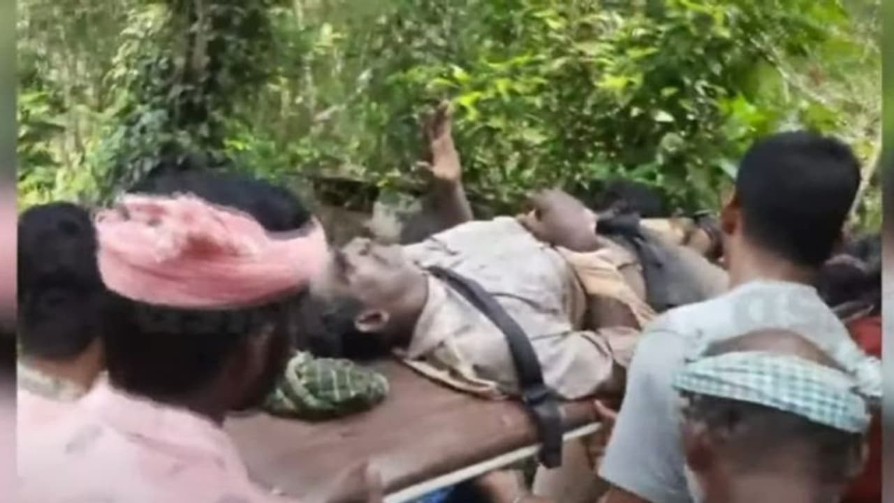 കെഎസ്ഇബി ടവർ പണിക്കായി ഉൾവനത്തിൽ പോയ തൊഴിലാളിയെ കടുവ ആക്രമിച്ചു കെഎസ്ഇബി ടവർ പണിക്കായി ഉൾവനത്തിൽ പോയ തൊഴിലാളിയെ കടുവ ആക്രമിച്ചു