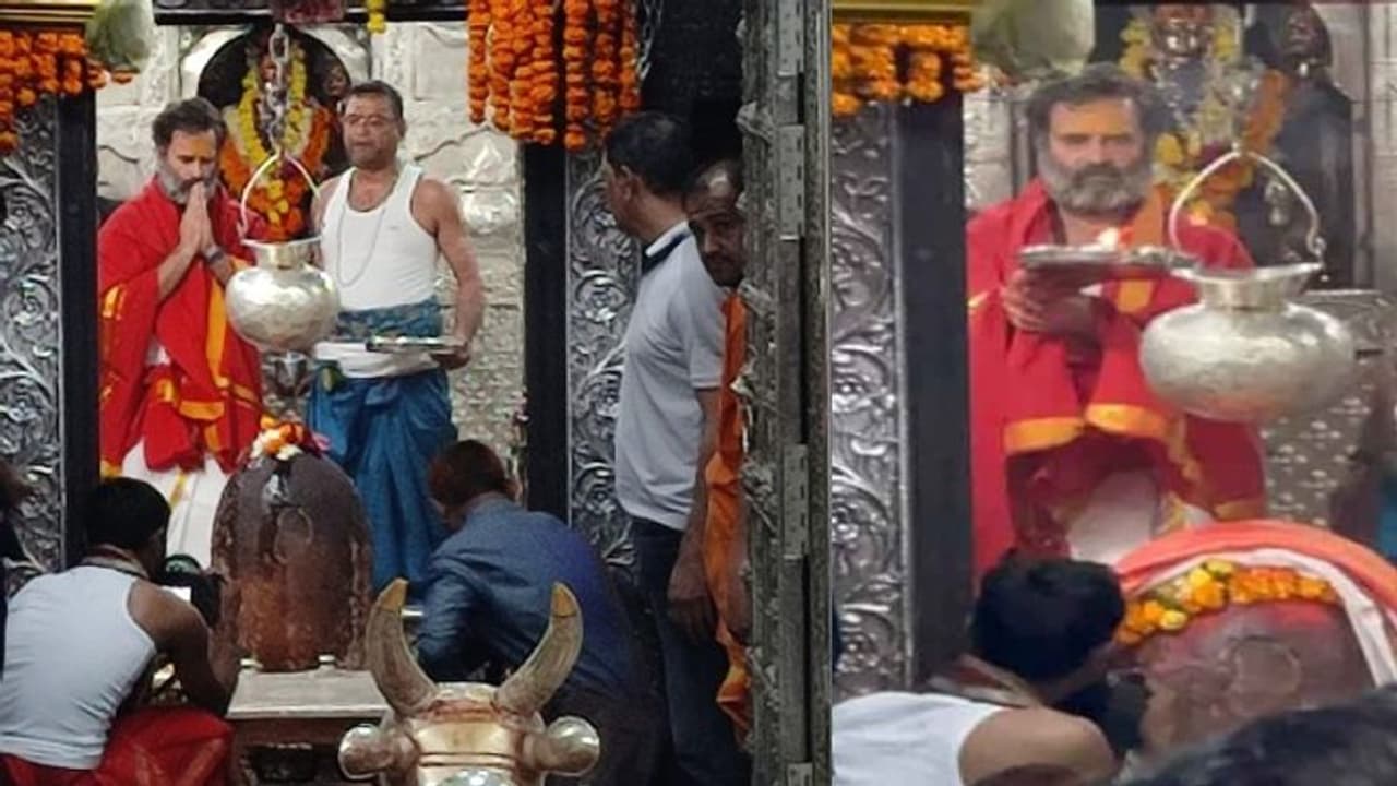 उज्जैन में दिखा राहुल गांधी का अलग अंदाज: रुद्राक्ष की माला और धोती पहन की महाकाल की पूजा... उज्जैन में दिखा राहुल गांधी का अलग अंदाज: रुद्राक्ष की माला और धोती पहन की महाकाल की पूजा...