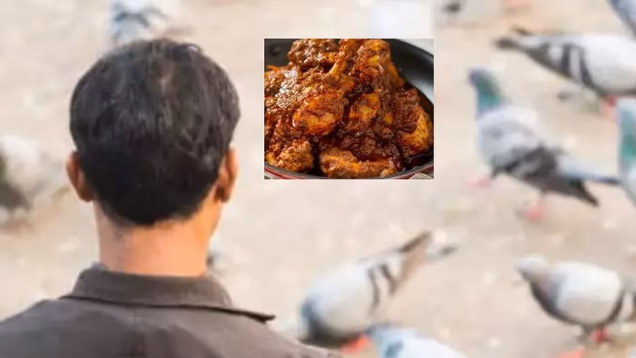 ಕೋಳಿ ಎಂದು ಹೊಟೇಲ್‌ಗಳಿಗೆ ಪಾರಿವಾಳಗಳ ಮಾಂಸ ಪೂರೈಕೆ 