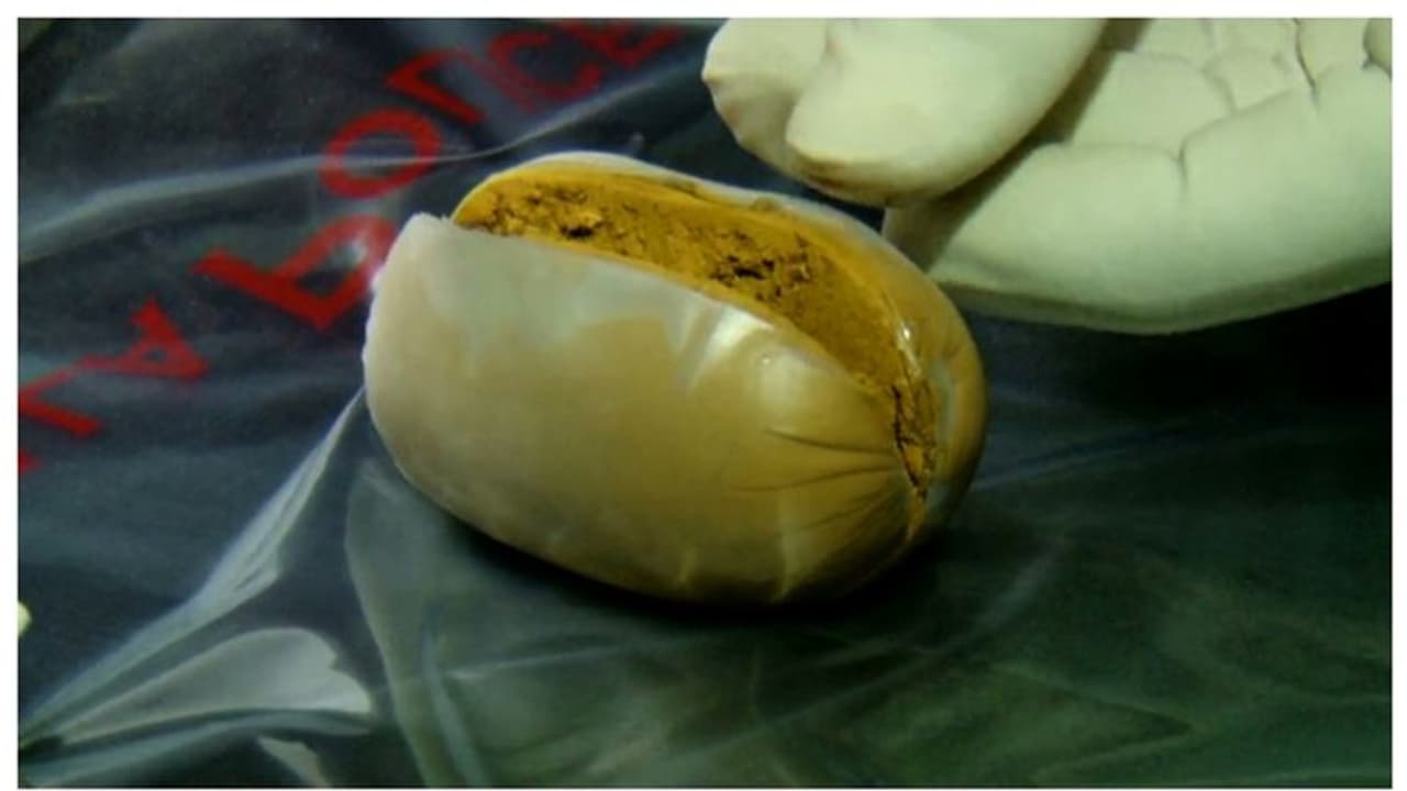 കള്ളക്കടത്ത് സ്വര്ണം കവരും, പെരിന്തല്മണ്ണയില് അഞ്ചുപേര് പിടിയില് കള്ളക്കടത്ത് സ്വര്ണം കവരും, പെരിന്തല്മണ്ണയില് അഞ്ചുപേര് പിടിയില്