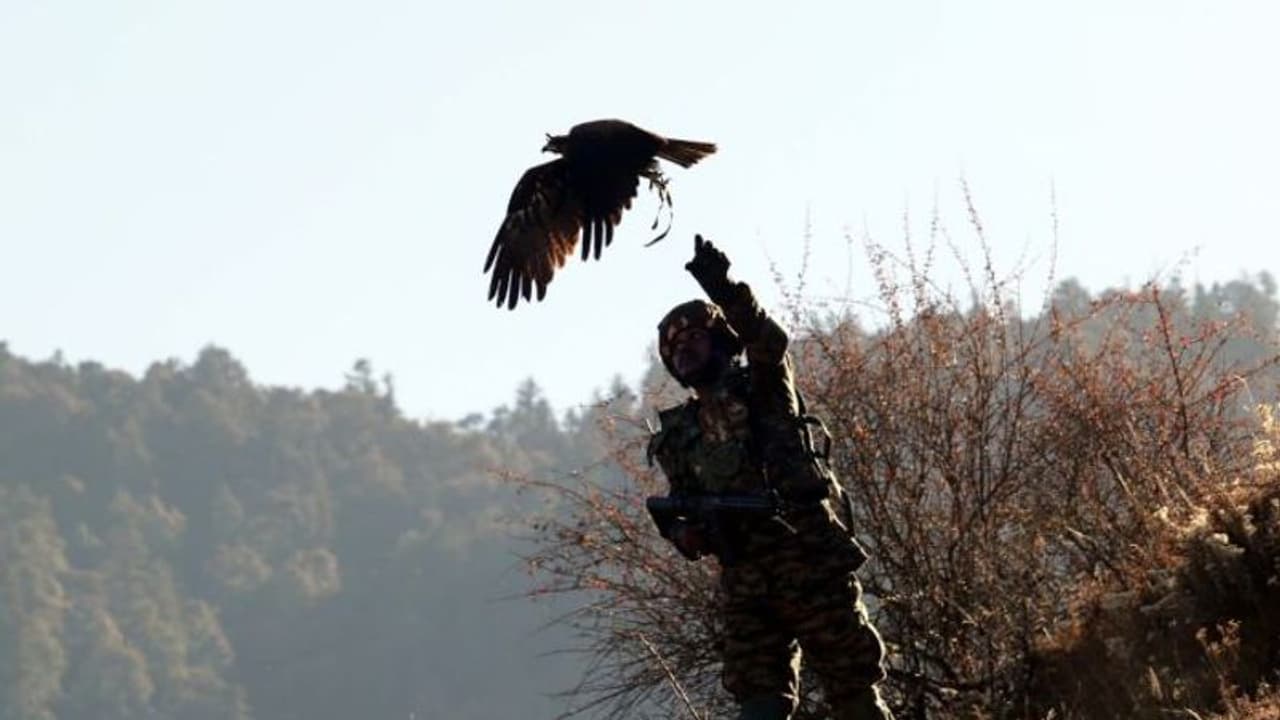 ഇന്ത്യന്‍ അതിര്‍ത്തി കാക്കാന്‍ ചക്കി പരുന്തുകള്‍; സൈന്യത്തിന്‍റെ പുത്തന്‍ പദ്ധതി ഇങ്ങനെ