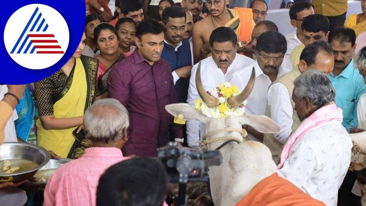 ಗೋ ರಕ್ಷಣೆಗಾಗಿ ಗೋಶಾಲೆ ಸ್ಥಾಪನೆ: ಸಚಿವ ಪ್ರಭು ಚವ್ಹಾಣ್ ಗೋ ರಕ್ಷಣೆಗಾಗಿ ಗೋಶಾಲೆ ಸ್ಥಾಪನೆ: ಸಚಿವ ಪ್ರಭು ಚವ್ಹಾಣ್