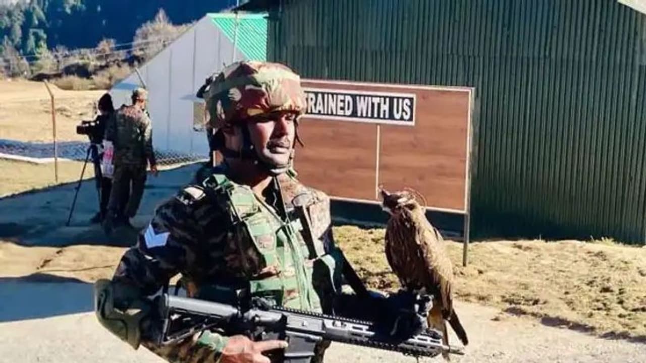 Explained: எல்லைக்குள் வரும் எதிரிகளின் ட்ரோன்களை ராணுவத்தின் கரும்பருந்துகள் எவ்வாறு அழிக்கின்றன?