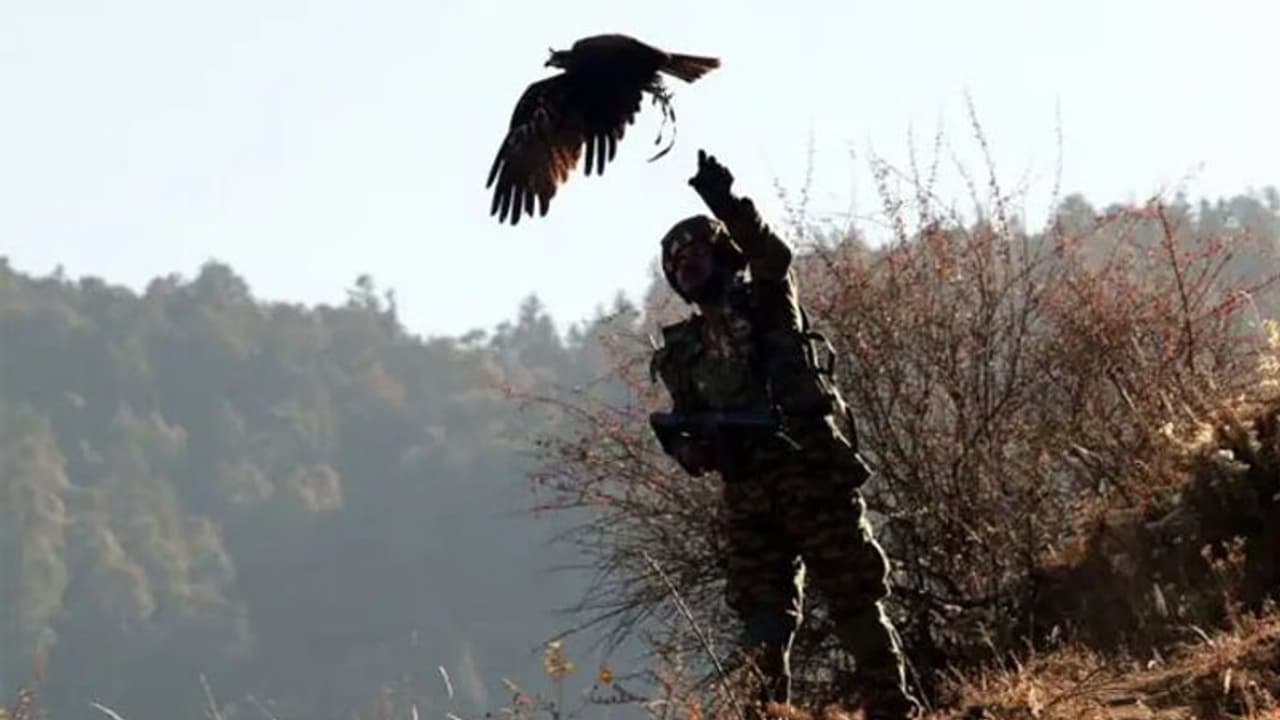 India, US to begin joint military exercise Vajra Prahar at Idaho India, US to begin joint military exercise Vajra Prahar at Idaho