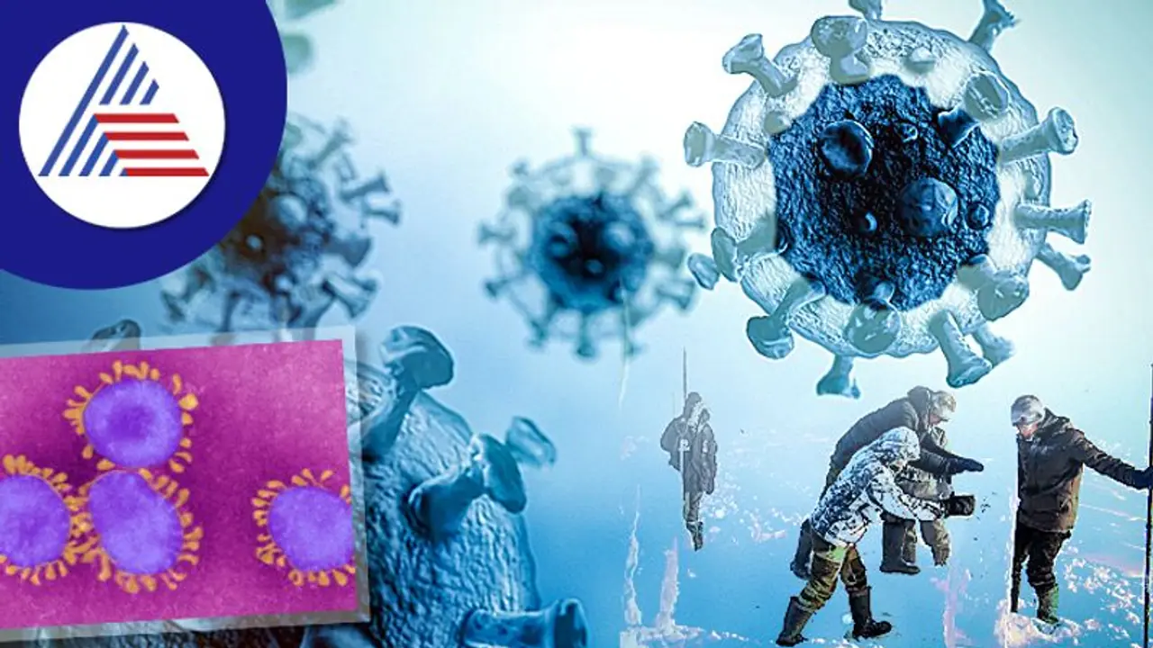 Zombie Virus: ಸೈಬೀರಿಯಾದಲ್ಲಿ 48,500 ವರ್ಷಗಳ ಹಿಂದಿನ ಝೋಂಬಿ ವೈರಸ್ ಪತ್ತೆ Zombie Virus: ಸೈಬೀರಿಯಾದಲ್ಲಿ 48,500 ವರ್ಷಗಳ ಹಿಂದಿನ ಝೋಂಬಿ ವೈರಸ್ ಪತ್ತೆ