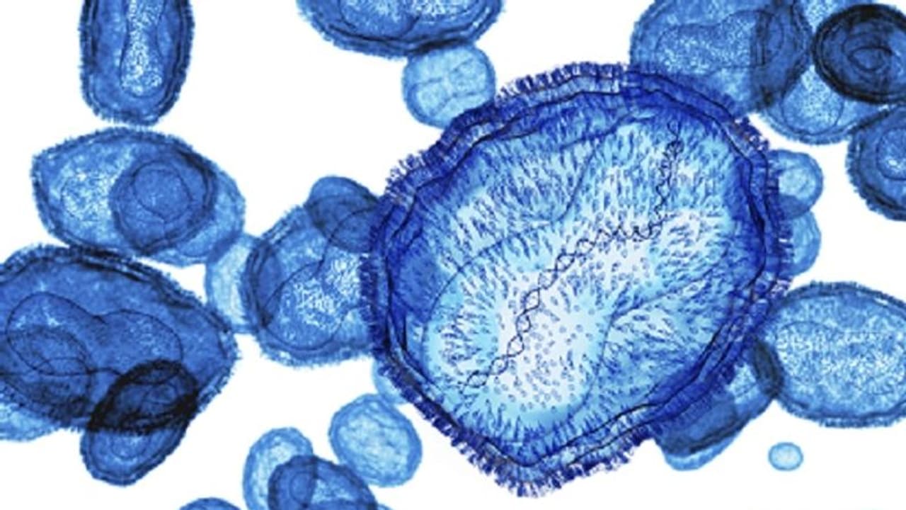 Scientists revive 48,500 year old 'zombie' virus from Siberian permafrost, is it bad news? Scientists revive 48,500 year old 'zombie' virus from Siberian permafrost, is it bad news?