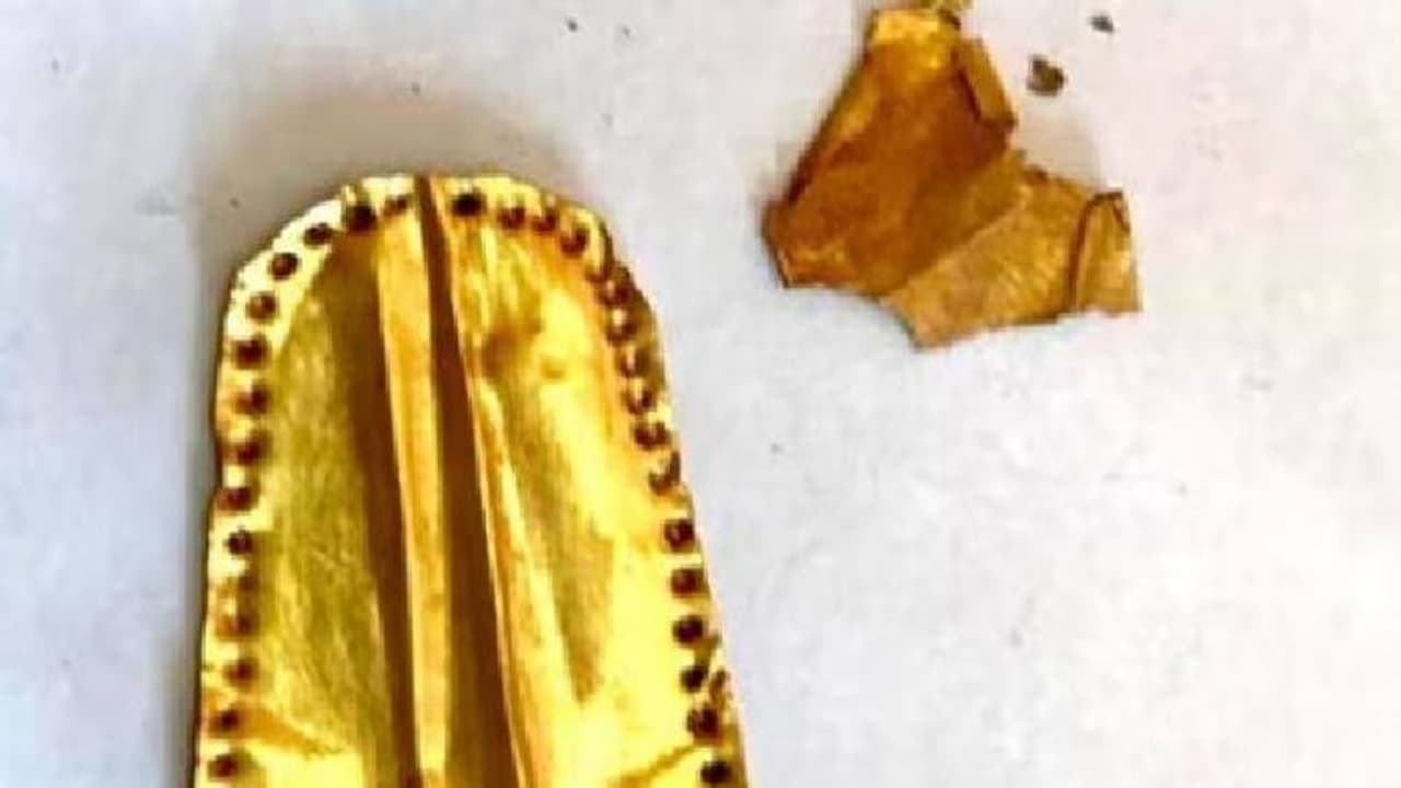 ഈജിപ്തിലെ പുരാവസ്തു സൈറ്റിൽ കണ്ടെത്തിയ മമ്മികൾക്ക് സ്വർണനാവ്