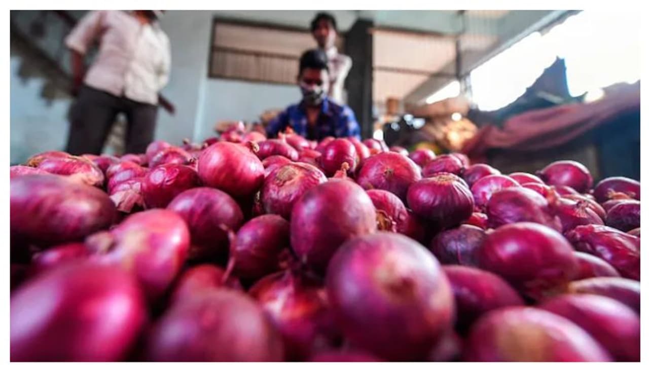 70 కి.మీలు వెళ్లి 512 కిలోల ఉల్లిగడ్డలు అమ్మిన రైతు.. చెక్ పై ఎన్ని డబ్బులు వచ్చాయో చూస్తే ఖంగుతింటారు! 70 కి.మీలు వెళ్లి 512 కిలోల ఉల్లిగడ్డలు అమ్మిన రైతు.. చెక్ పై ఎన్ని డబ్బులు వచ్చాయో చూస్తే ఖంగుతింటారు!