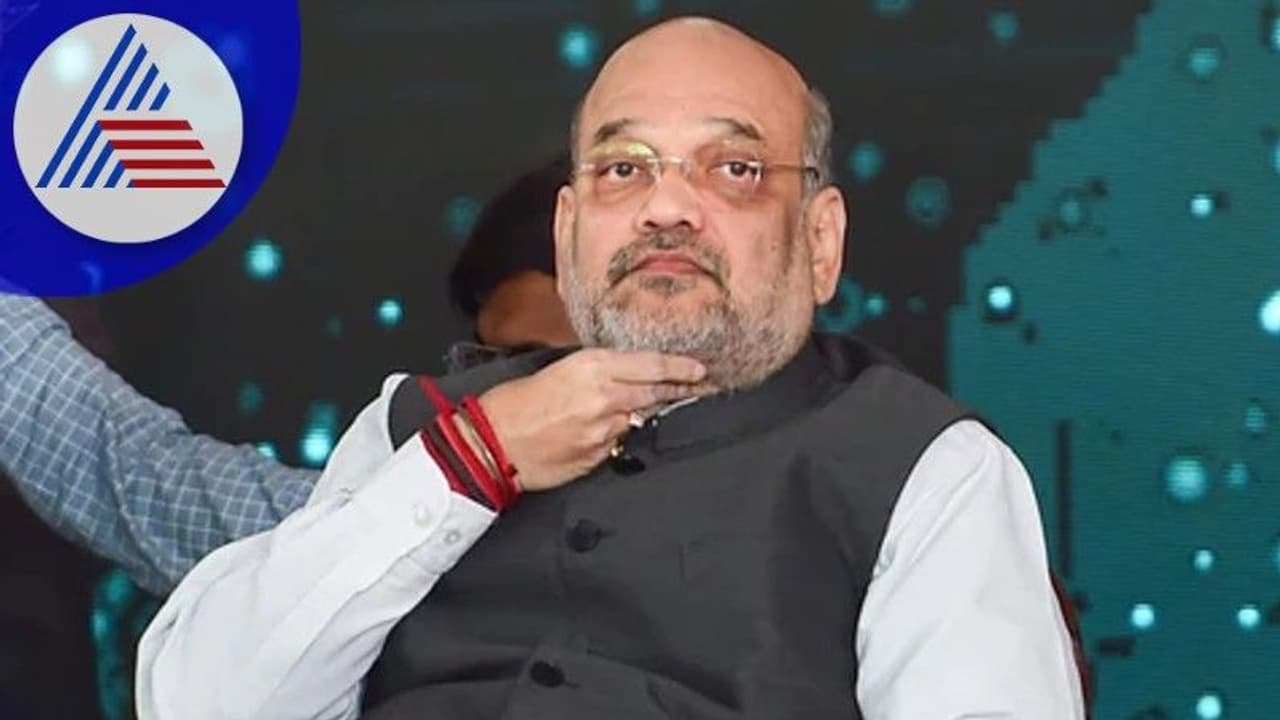 Gujarat Election: ಆಪ್‌ ಒಂದು ಸೀಟೂ ಗೆಲ್ಲಲ್ಲ, ಕೈ ಸೋಲು ನಿಶ್ಚಿತ: ಅಮಿತ್ ಶಾ 