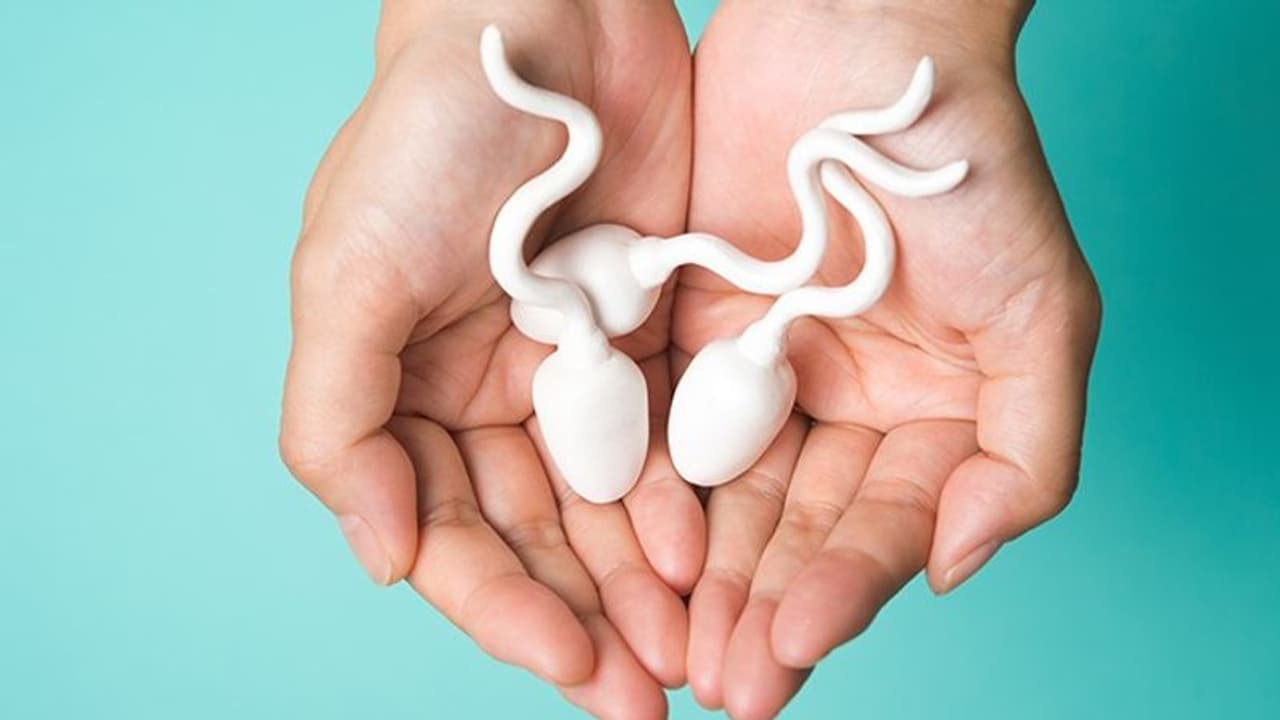 ಈ ನಾಲ್ಕು ಜೀವಸತ್ವಗಳು ಪುರುಷರ ಫಲವತ್ತತೆಯನ್ನು ಹೆಚ್ಚಿಸುವ ಫ್ಯಾಕ್ಟರಿಗಳು! ಈ ನಾಲ್ಕು ಜೀವಸತ್ವಗಳು ಪುರುಷರ ಫಲವತ್ತತೆಯನ್ನು ಹೆಚ್ಚಿಸುವ ಫ್ಯಾಕ್ಟರಿಗಳು!