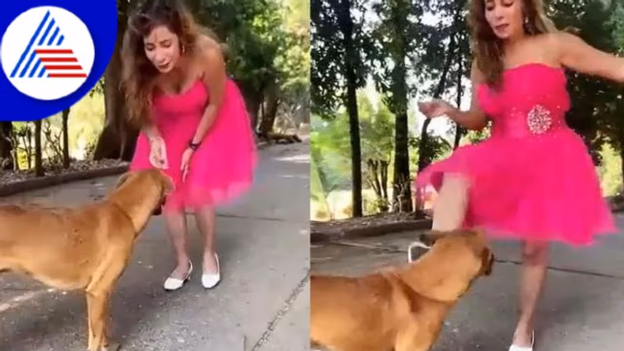 ಯಪ್ಪಾ..ನಾಯಿಯನ್ನು ಒದ್ದು ಮಜಾ ನೋಡಿ ನಗ್ತಿದ್ದಾಳಲ್ಲಪ್ಪಾ ಈಕೆ ! ಯಪ್ಪಾ..ನಾಯಿಯನ್ನು ಒದ್ದು ಮಜಾ ನೋಡಿ ನಗ್ತಿದ್ದಾಳಲ್ಲಪ್ಪಾ ಈಕೆ !