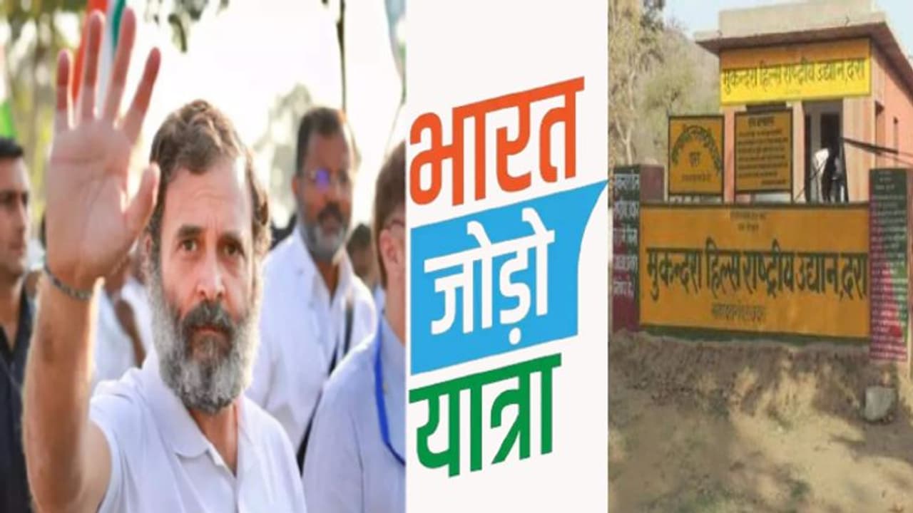 राजस्थान में कांग्रेस की भारत जोड़ो यात्रा का टाइगर से होगा सामना: मुकुंदरा टाइगर रिजर्व चलेगी नहीं पैदल राजस्थान में कांग्रेस की भारत जोड़ो यात्रा का टाइगर से होगा सामना: मुकुंदरा टाइगर रिजर्व चलेगी नहीं पैदल