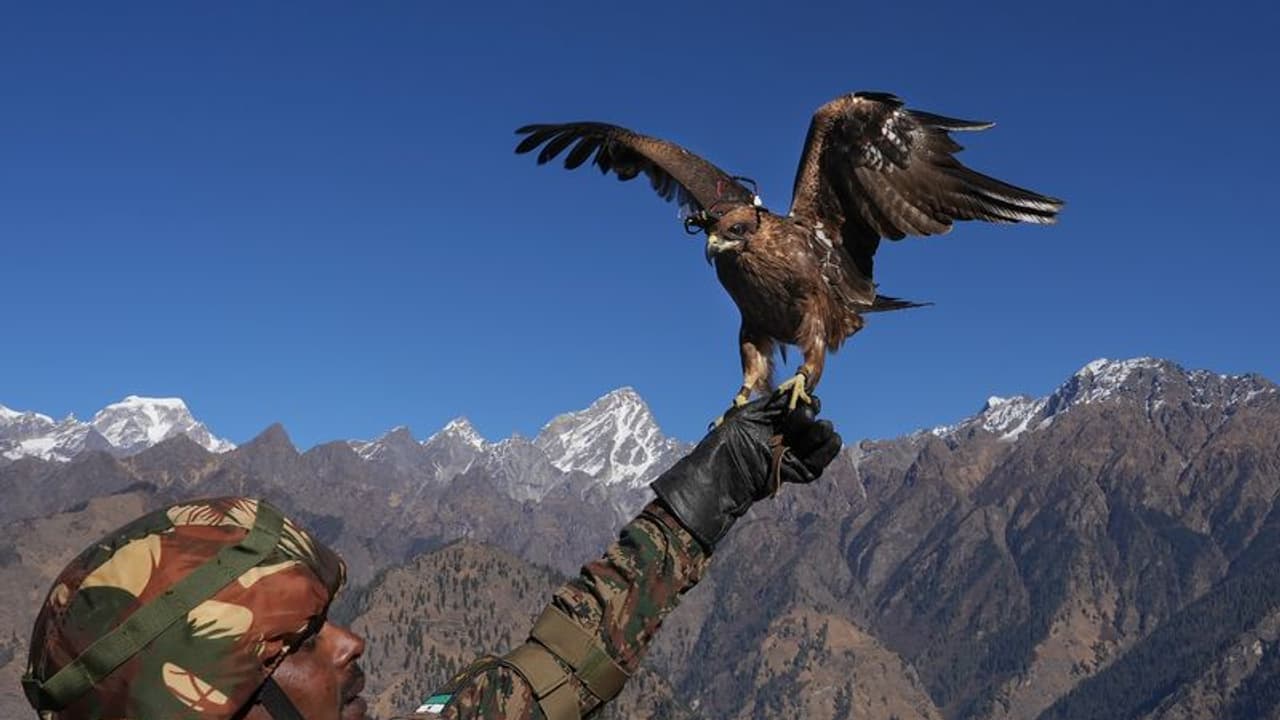 चीन को भारत का करारा जवाब तीसरे के Veto की हमें जरूरत नहीं, बीजिंग ने जताई थी US के साथ अभ्यास पर आपत्ति चीन को भारत का करारा जवाब तीसरे के Veto की हमें जरूरत नहीं, बीजिंग ने जताई थी US के साथ अभ्यास पर आपत्ति