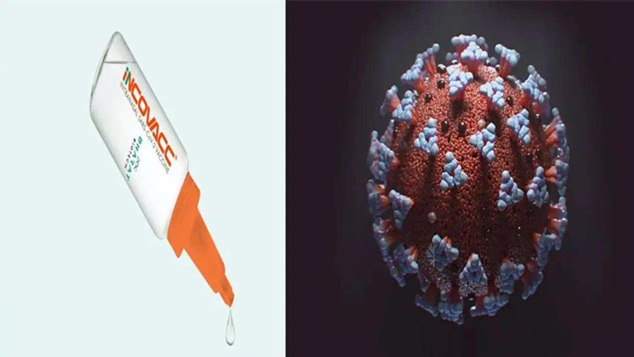 कोविड 19 से बचने के लिए इंट्रा नेजल वैक्सीन को मिली मंजूरी, आपातकालीन स्थिति में दी जाएगी