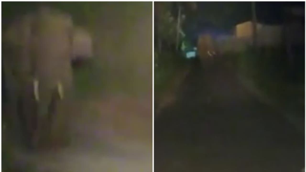 കാട്ടാനയെ ഓടിക്കാനെത്തി, ഒടുവില് കാട്ടാന ഓടിച്ചു; രണ്ട് കിലോമീറ്റര് പിന്നോട്ടോടി ആര്ആര്ടീമിന്റെ വാഹനം കാട്ടാനയെ ഓടിക്കാനെത്തി, ഒടുവില് കാട്ടാന ഓടിച്ചു; രണ്ട് കിലോമീറ്റര് പിന്നോട്ടോടി ആര്ആര്ടീമിന്റെ വാഹനം