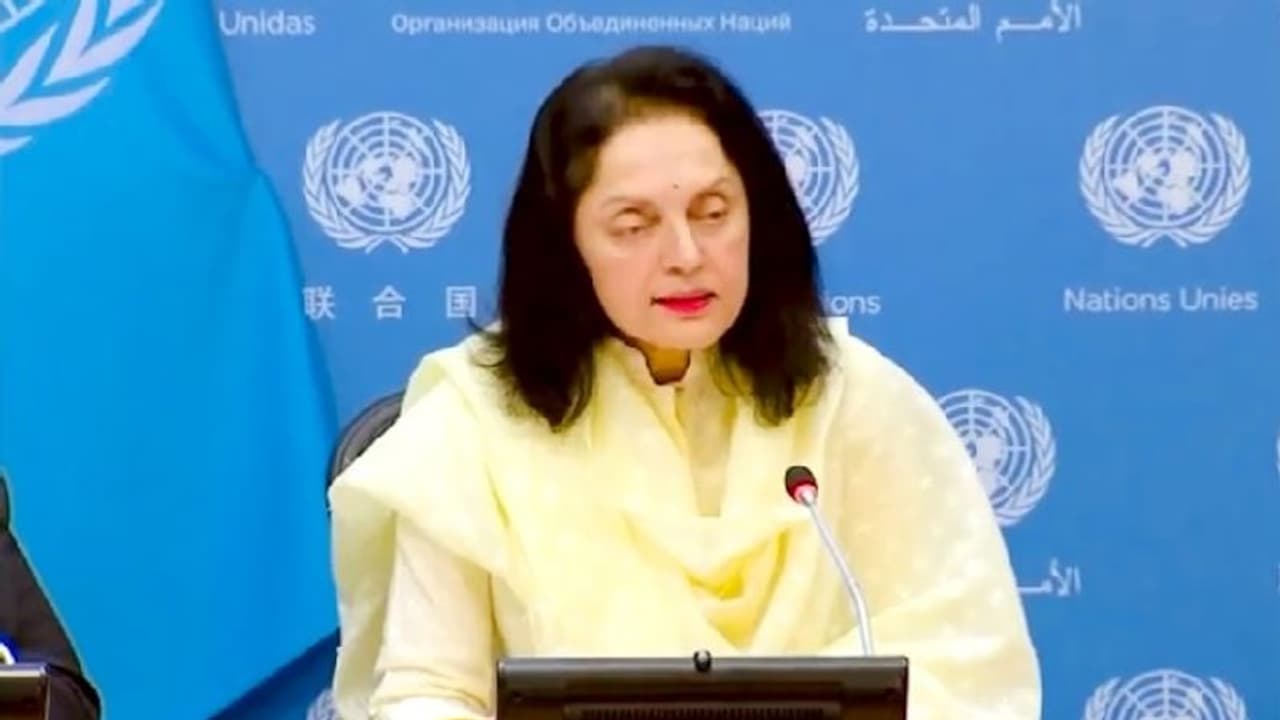 भारत ने UN में कहा लोकतंत्र पर क्या करना चाहिए, हमें बताने की जरूरत नहीं