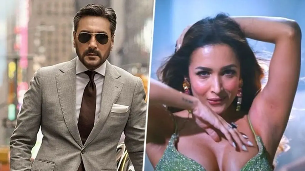 An Action Hero: Pakistani actor Adnan Siddiqui slammed 'Aap Jaisa Koi' Remix featuring Malaika Arora 