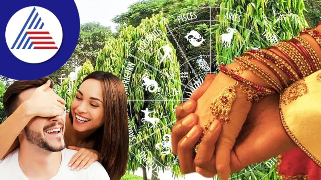 Vastu Tips: ಶೀಘ್ರ ಮದುವೆ, ಗ್ರಹದೋಷ ನಿವಾರಣೆ ಮಾಡುತ್ತೆ ಅಶೋಕ ಗಿಡ 