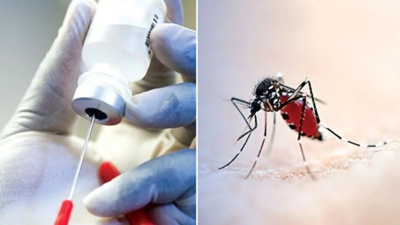 Mysuru : ರಾಷ್ಟ್ರೀಯ ಮಲೇರಿಯಾ ವಿರೋಧಿ ಮಾಸಾಚರಣೆ Mysuru : ರಾಷ್ಟ್ರೀಯ ಮಲೇರಿಯಾ ವಿರೋಧಿ ಮಾಸಾಚರಣೆ