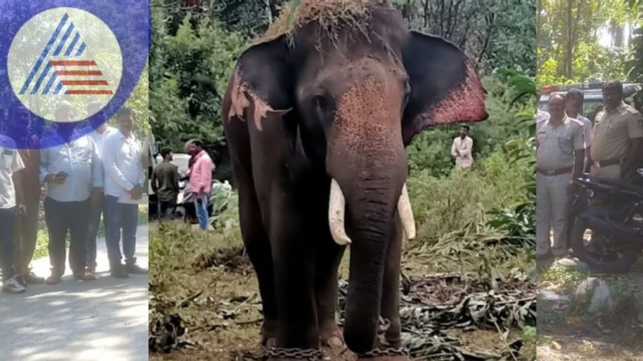 Chikkamagaluru: ಕಾಡಾನೆ ಸೆರೆಗೆ ಕೂಂಬಿಂಗ್; ಪತ್ತೆಯಾಗದ ನರಹಂತಕ ಆನೆ