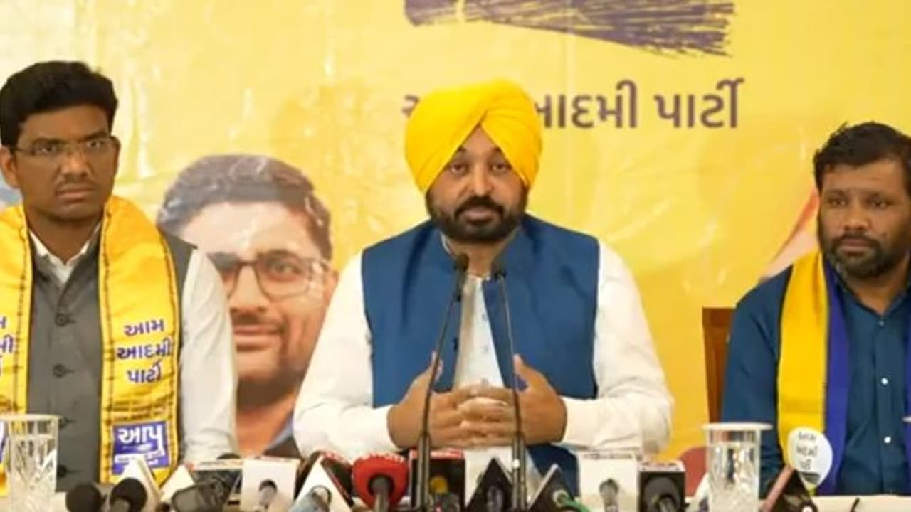 'Pot is calling kettle black': Punjab CM hits back at Rahul Gandhi over 'remote control CM' jibe