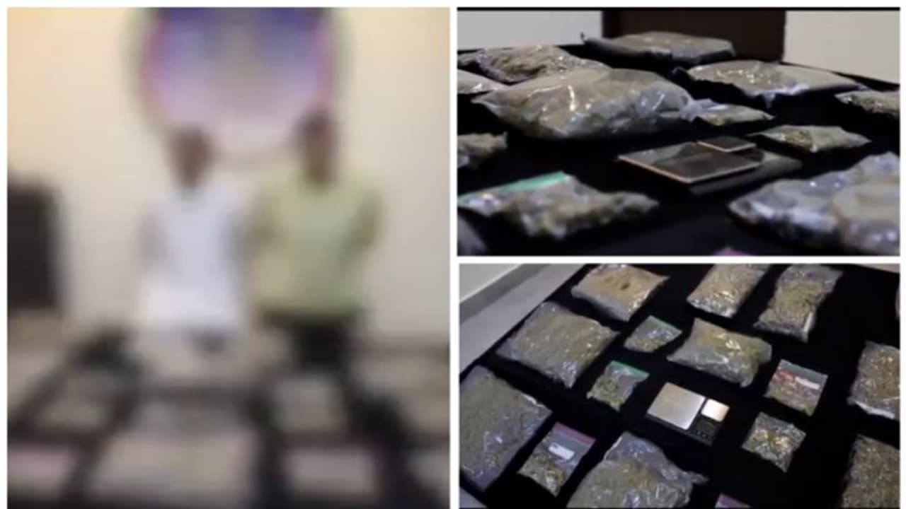 കുവൈത്തില് വന് കഞ്ചാവ് വേട്ട: രണ്ട് യുവാക്കള് പിടിയില് കുവൈത്തില് വന് കഞ്ചാവ് വേട്ട: രണ്ട് യുവാക്കള് പിടിയില്