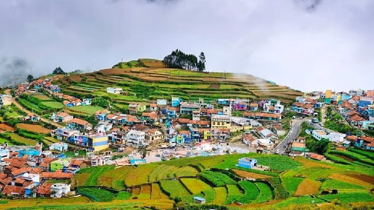 லிவிங் டூகெதரில் இருந்தவர்களுக்கு இடையே தகராறு… கொடைக்கானலில் நள்ளிரவில் நடந்த அதிர்ச்சி சம்பவம்!! லிவிங் டூகெதரில் இருந்தவர்களுக்கு இடையே தகராறு… கொடைக்கானலில் நள்ளிரவில் நடந்த அதிர்ச்சி சம்பவம்!!