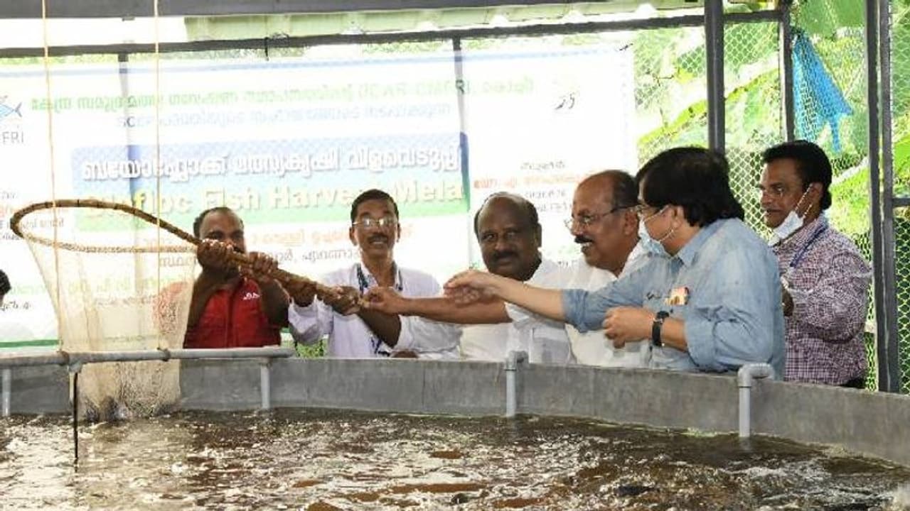 മീനുകൾക്ക് 500 550 ഗ്രാം തൂക്കം, ബയോഫ്ളോക് മത്സ്യകൃഷിയിൽ മികച്ച നേട്ടം മീനുകൾക്ക് 500 550 ഗ്രാം തൂക്കം, ബയോഫ്ളോക് മത്സ്യകൃഷിയിൽ മികച്ച നേട്ടം