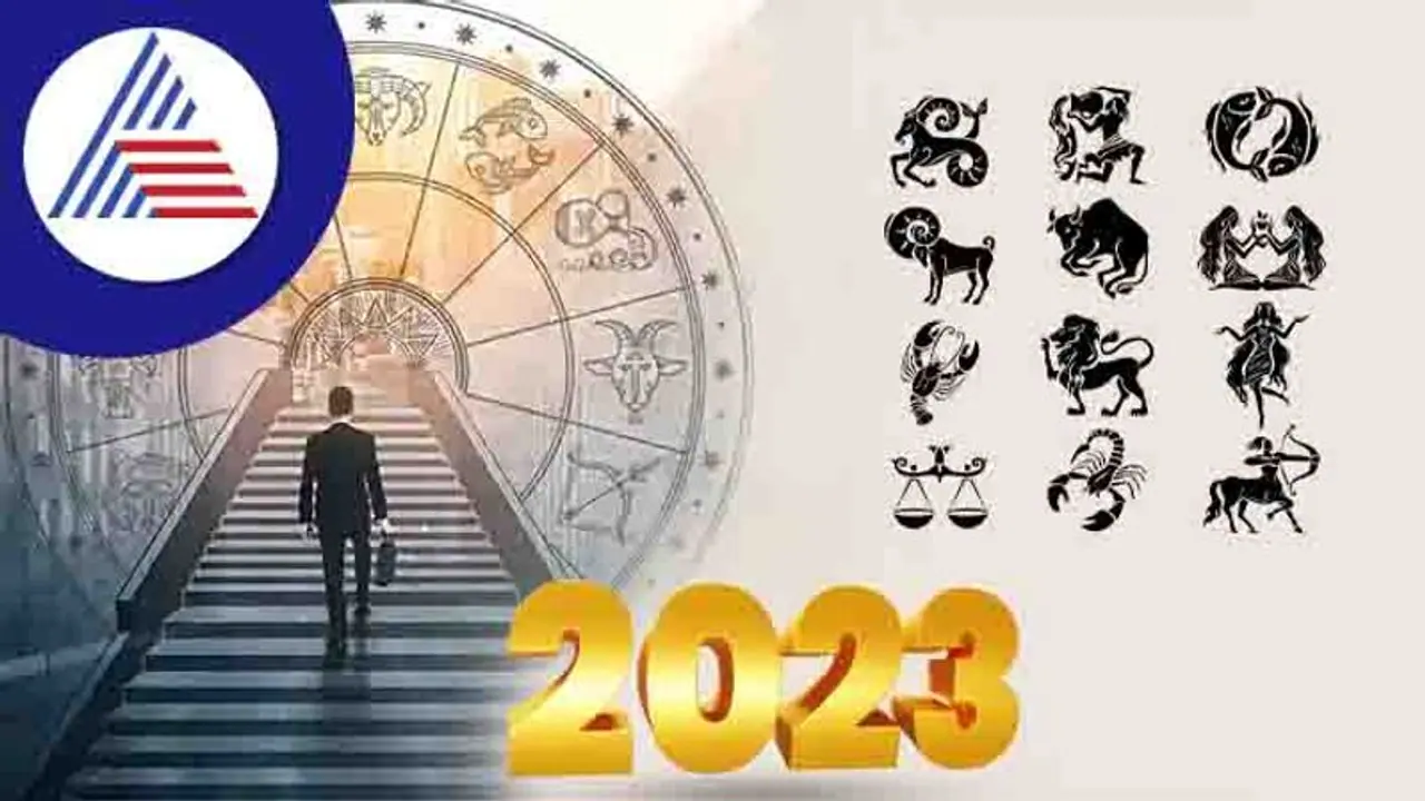Astrology Tips: ಹೊಸ ವರ್ಷ ರಾಹುವಿನಿಂದ ಲಾಭ ಪಡೆಯಲಿದ್ದಾರೆ ಈ ರಾಶಿಯವರು 