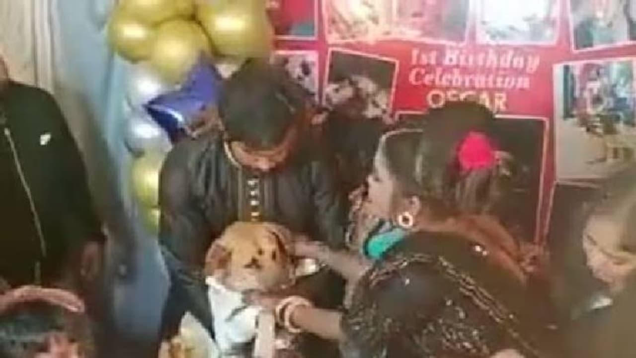 4500 രൂപയുടെ സ്യൂട്ട്, 350 അതിഥികൾ, നായയുടെ ജന്മദിനം ആഘോഷമാക്കി ഉടമ 4500 രൂപയുടെ സ്യൂട്ട്, 350 അതിഥികൾ, നായയുടെ ജന്മദിനം ആഘോഷമാക്കി ഉടമ