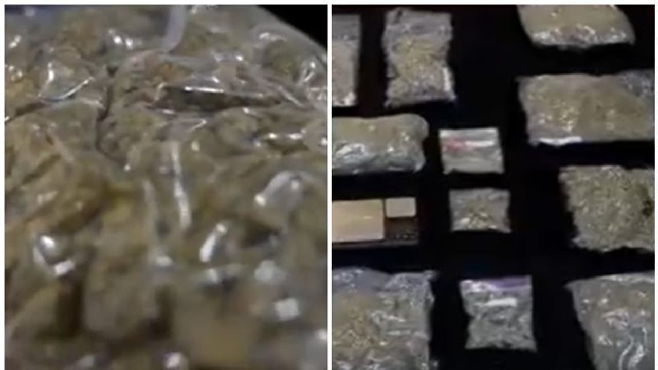 കുവൈത്തില്‍ പത്ത് കിലോ കഞ്ചാവുമായി രണ്ടുപേര്‍ അറസ്റ്റില്‍