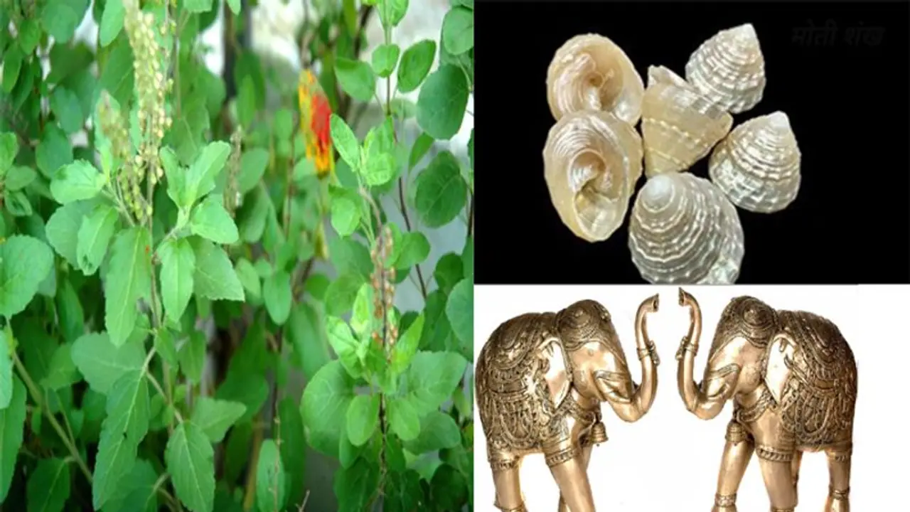 धन दौलत की होगी बरसात, जिंदगी हो जाएगी शानदर, New Year 2023 पर घर लाएं ये 6 चीजें