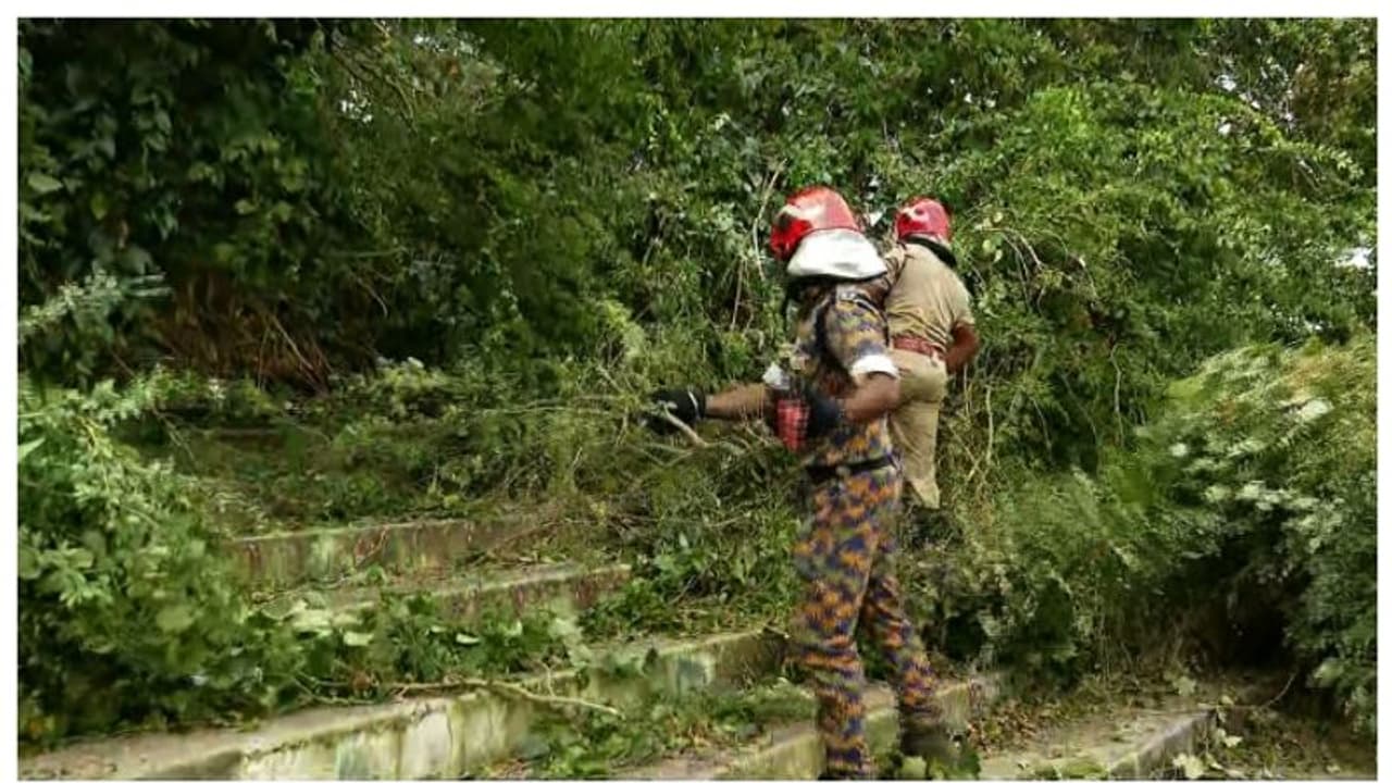 കായികമേളയ്ക്കിടെ മരച്ചില്ല ഒടിഞ്ഞുവീണു, ഒരു വിദ്യാര്‍ത്ഥിക്ക് പരിക്ക്
