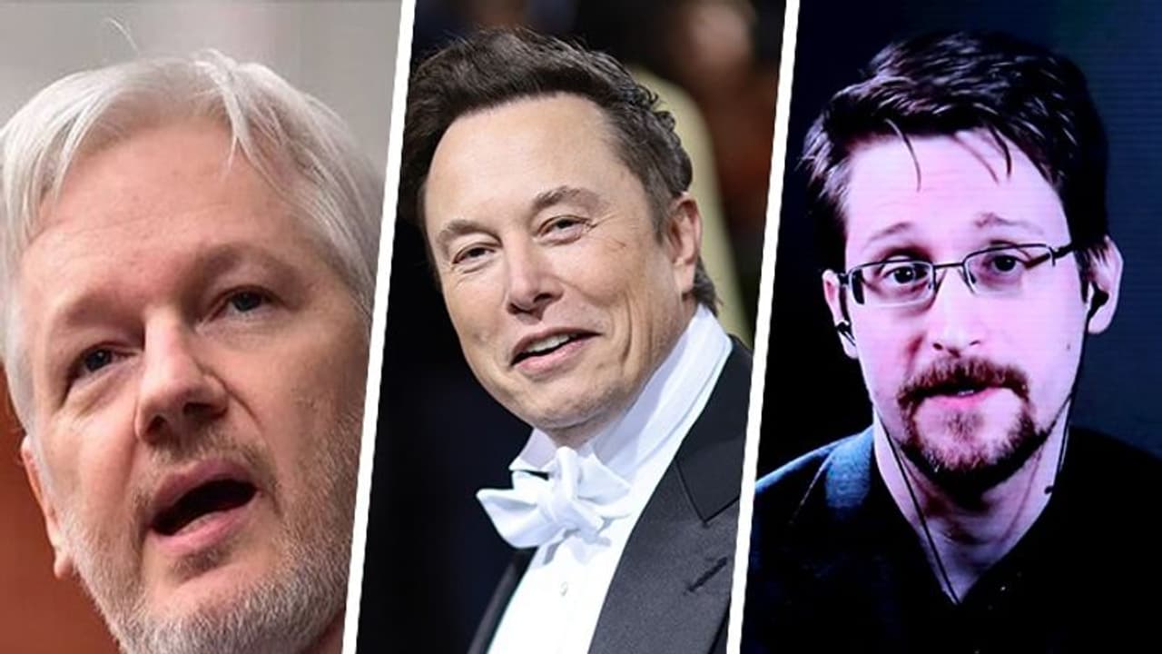 'Should Assange and Snowden be pardoned?' Elon Musk starts a new Twitter poll