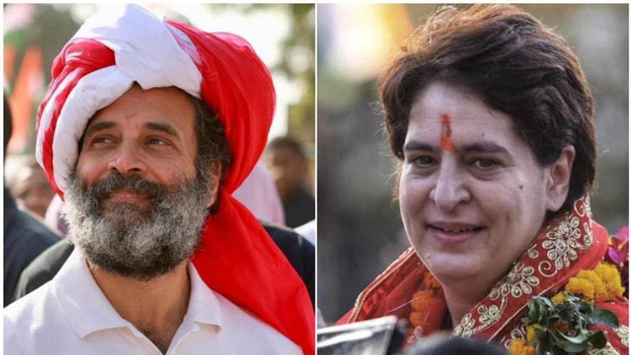 ಕರ್ನಾಟಕ ಗೆದ್ದು ರಾಹುಲ್‌ ಅನರ್ಹತೆಗೆ ಉತ್ತರ ನೀಡೋಣ: ಸಾಮೂಹಿಕ ರಾಜೀನಾಮೆಗೆ ಮುಂದಾದ ಸಂಸದರಿಗೆ ಪ್ರಿಯಾಂಕಾ ಸಲಹೆ