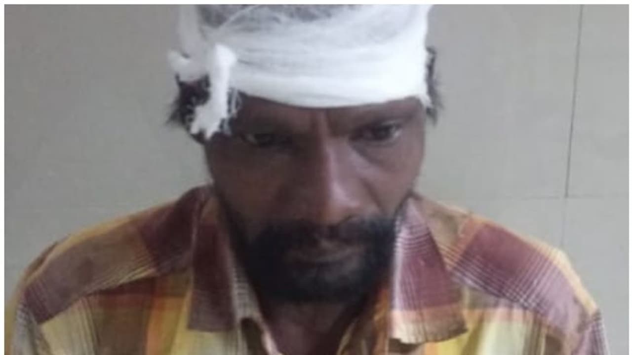 കാട്ടുപോത്തിന്‍റെ കുത്തേറ്റ് ഒരാൾക്ക് പരിക്ക്; ആക്രമണം റേഷൻ കടയിൽ നിന്ന് മടങ്ങുന്ന സമയത്ത്