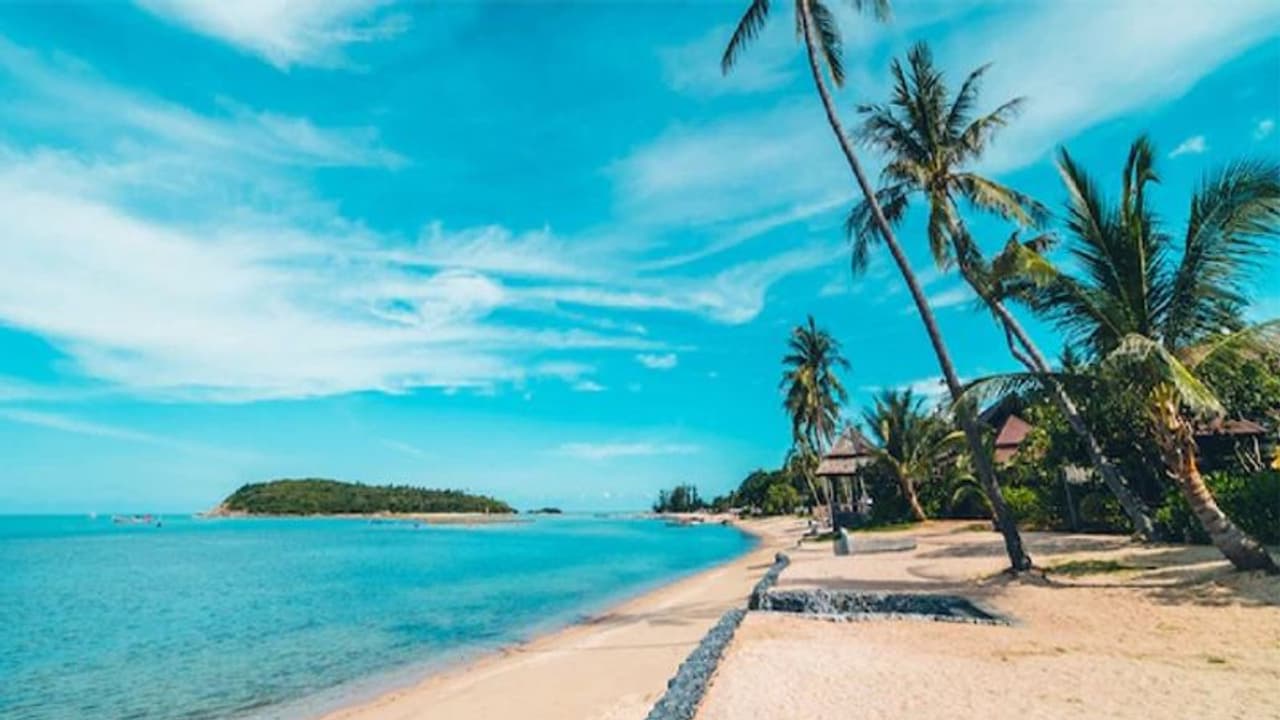 വാലന്റൈൻസ് ഡേ ടൂർ പാക്കേജുമായി ഐആർസിടിസി; ഗോവൻ യാത്രയുടെ നിരക്കുകൾ ഇതാണ്