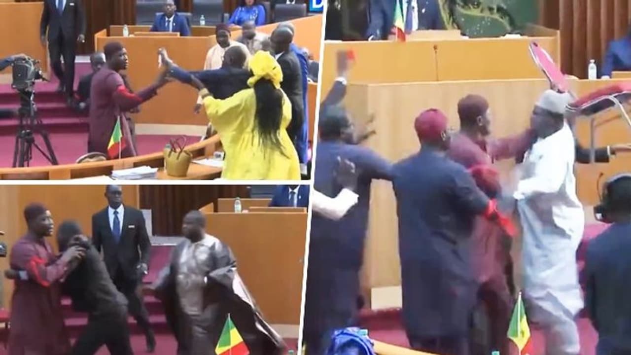 Senegal MP slaps female politician in the Parliament; lawmakers exchange blows, hurl chair | Watch