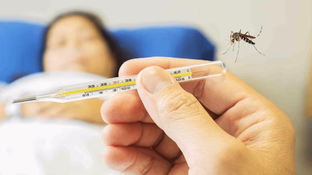 Kerala witnesses rise in dengue, rat fever with onset of monsoon