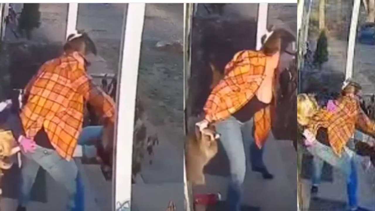 റാക്കൂണിന്റെ പിടിയില് നിന്ന് മകളെ രക്ഷിക്കുന്ന അമ്മ; വീഡിയോ കണ്ടത് 15 ദശലക്ഷം ആളുകള് റാക്കൂണിന്റെ പിടിയില് നിന്ന് മകളെ രക്ഷിക്കുന്ന അമ്മ; വീഡിയോ കണ്ടത് 15 ദശലക്ഷം ആളുകള്