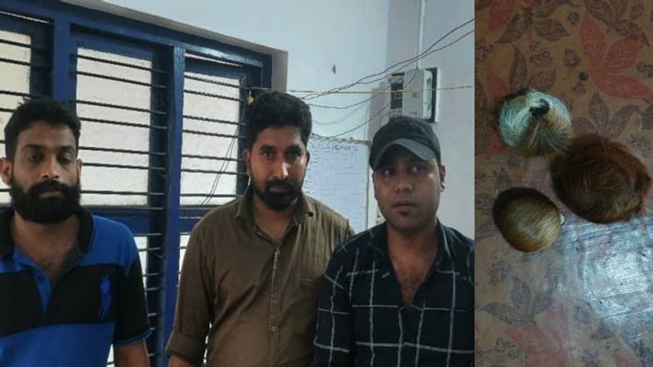 കണ്ണൂരിൽ കസ്തൂരി മാനിന്റെ കസ്തൂരിയുമായി മൂന്ന് പേർ പിടിയിൽ