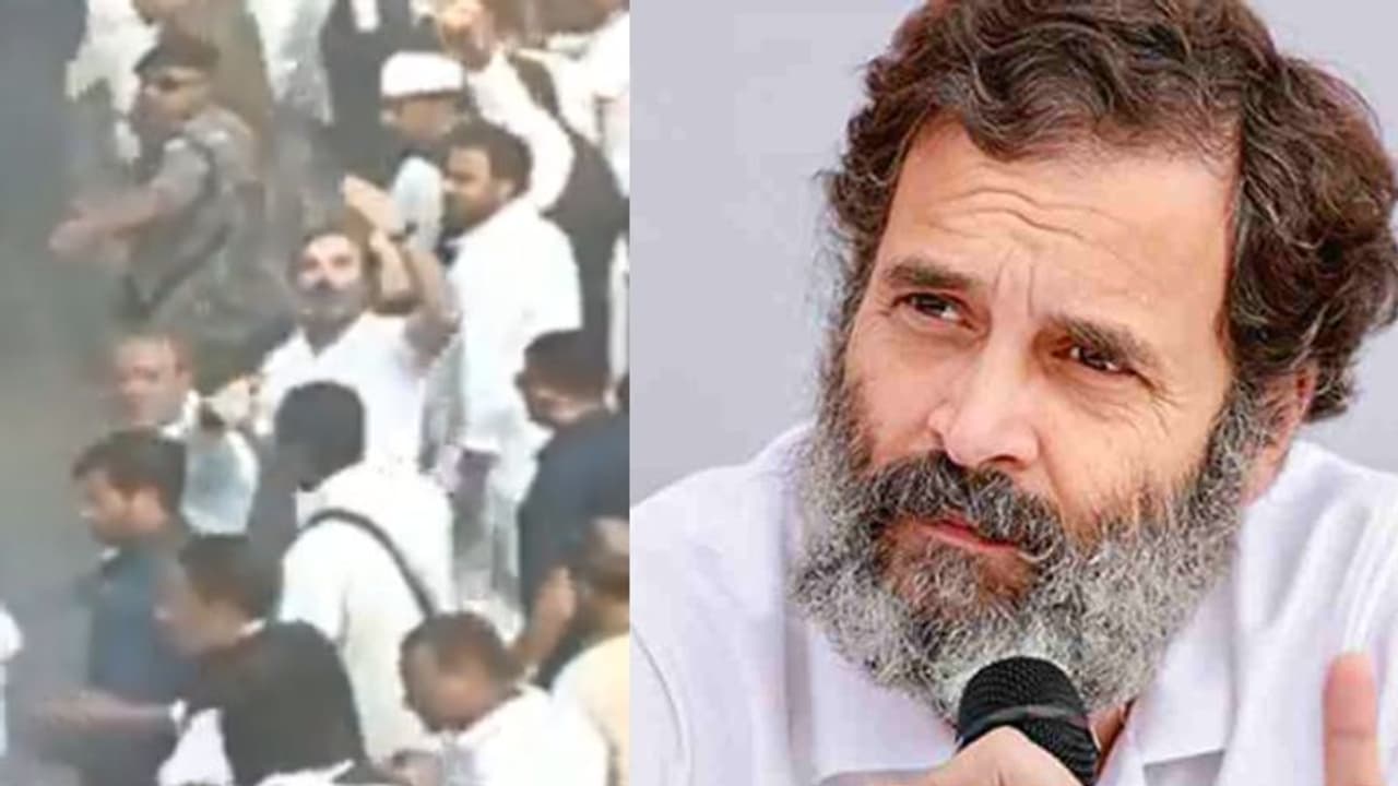 'മോദി, മോദി...', ജോഡോ യാത്രയ്ക്കിടെ ആർപ്പുവിളിച്ച് ജനം; 'ഫ്ലയിംഗ് കിസ്സി'ലൂടെ മറുപടി നല്കി രാഹുല് VIDEO 'മോദി, മോദി...', ജോഡോ യാത്രയ്ക്കിടെ ആർപ്പുവിളിച്ച് ജനം; 'ഫ്ലയിംഗ് കിസ്സി'ലൂടെ മറുപടി നല്കി രാഹുല് VIDEO