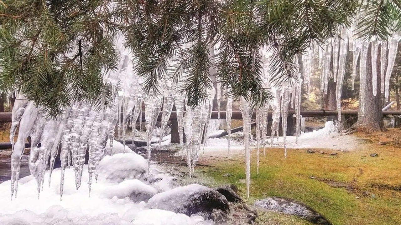 Weather forecast: कई राज्यों में दिखेगी कश्मीर की शीतलहर का असर, तमिलनाडु में भारी बारिश का अलर्ट Weather forecast: कई राज्यों में दिखेगी कश्मीर की शीतलहर का असर, तमिलनाडु में भारी बारिश का अलर्ट