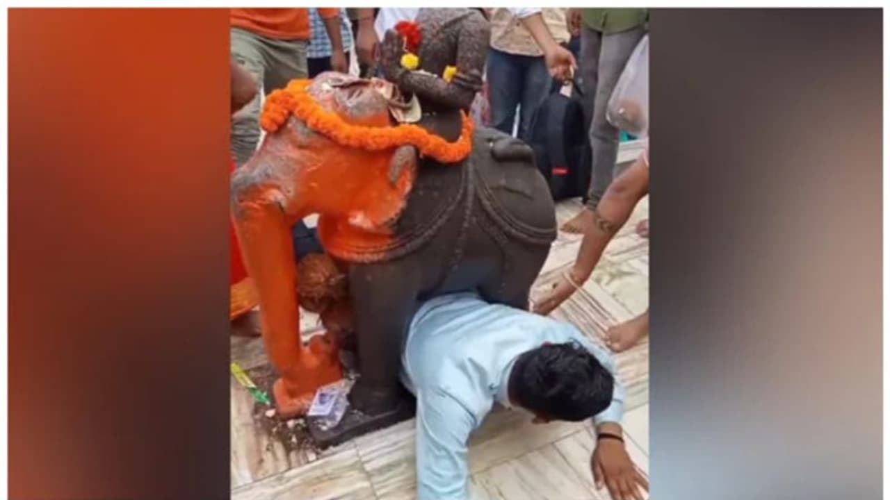 ആചാരത്തിനിടെ ആനയുടെ പ്രതിമക്ക് കീഴിൽ കുടുങ്ങി ഭക്തൻ; വീഡിയോ ആചാരത്തിനിടെ ആനയുടെ പ്രതിമക്ക് കീഴിൽ കുടുങ്ങി ഭക്തൻ; വീഡിയോ