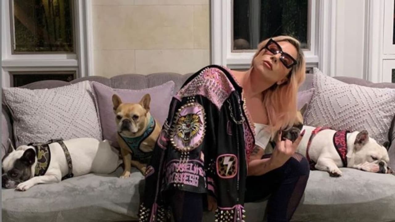 ലേഡി ഗാഗയുടെ നായ സൂക്ഷിപ്പുകാരനെ വെടിവച്ച് പരിക്കേല്പ്പിച്ചയാള്ക്ക് 21 വര്ഷം തടവ് ശിക്ഷ ലേഡി ഗാഗയുടെ നായ സൂക്ഷിപ്പുകാരനെ വെടിവച്ച് പരിക്കേല്പ്പിച്ചയാള്ക്ക് 21 വര്ഷം തടവ് ശിക്ഷ