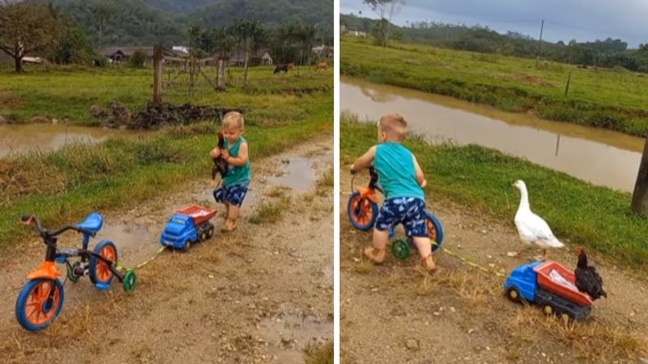 'അച്ചോടാ... വാവേ...'; ഇത് കണ്ടാല് ആരുടെ മനസാണ് നിറയാതിരിക്കുക! 'അച്ചോടാ... വാവേ...'; ഇത് കണ്ടാല് ആരുടെ മനസാണ് നിറയാതിരിക്കുക!