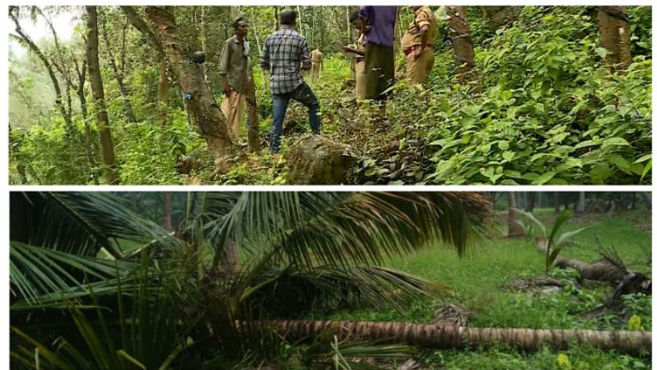 പത്തനംതിട്ട കലഞ്ഞൂരിൽ വീണ്ടും പുലി,പാലക്കാട് മുതലമടയിൽ കാട്ടാന ഇറങ്ങി കൃഷി നശിപ്പിച്ചു പത്തനംതിട്ട കലഞ്ഞൂരിൽ വീണ്ടും പുലി,പാലക്കാട് മുതലമടയിൽ കാട്ടാന ഇറങ്ങി കൃഷി നശിപ്പിച്ചു